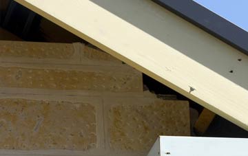 soffit repair Chesterhill